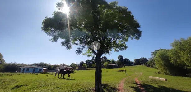 Fazenda / Sítio / Chácara com 2 Quartos à venda, 35000m² no Boi Morto, Santa Maria
