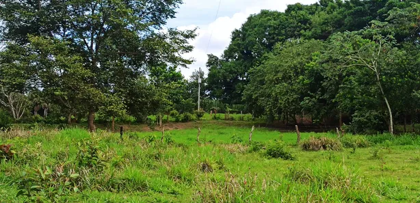 Fazenda / Sítio / Chácara com 3 Quartos à venda, 310000000m² no , Paraíso do Tocantins