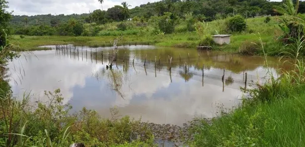 Fazenda / Sítio / Chácara com 5 Quartos à venda, 16000m² no , Conde
