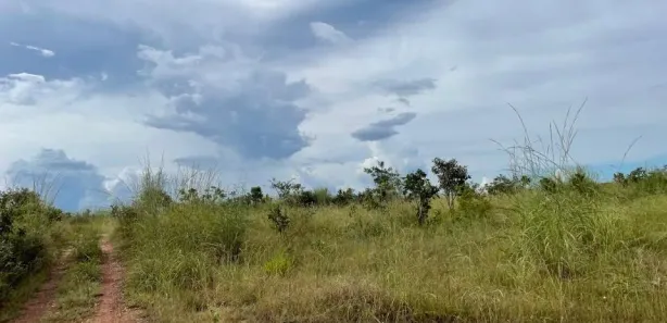 Fazenda / Sítio / Chácara à venda, 7332600m² no , Santa Maria do Tocantins