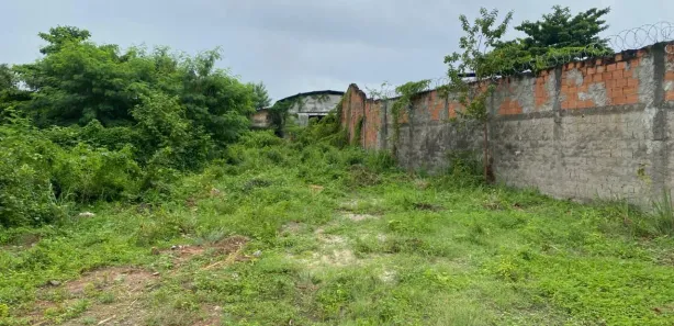Terreno / Lote / Condomínio à venda, 10000m² no Santa Cruz da Serra, Duque de Caxias