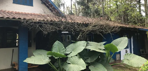 Fazenda / Sítio / Chácara com 2 Quartos à venda, 300m² no Rondinha, Campo Largo