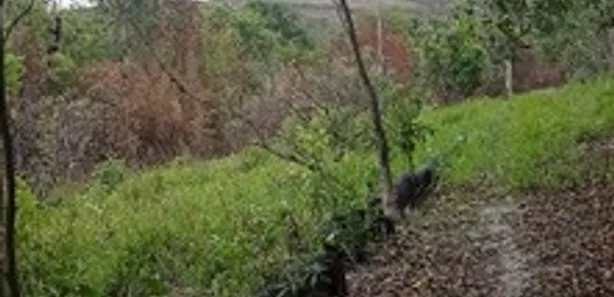 Fazenda / Sítio / Chácara com 3 Quartos à venda, 5000m² no Parque da Barragem Setor 08, Águas Lindas de Goiás