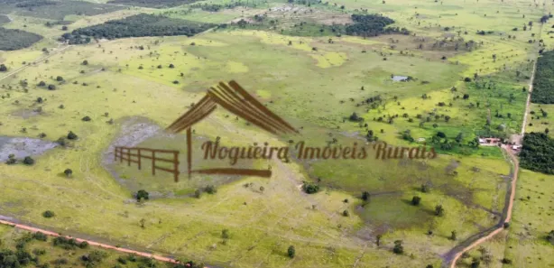 Fazenda / Sítio / Chácara à venda, 1m² no , Formoso do Araguaia