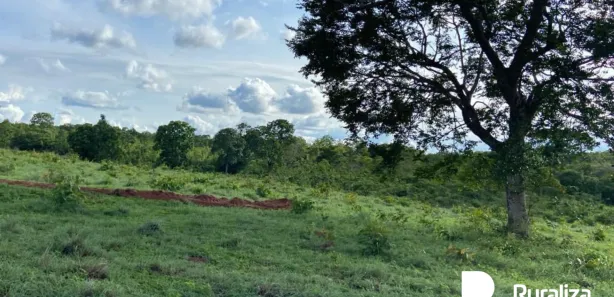 Fazenda / Sítio / Chácara à venda, 842m² no , Rio Sono