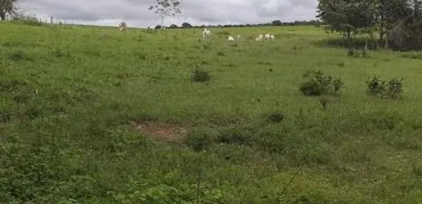 Fazenda / Sítio / Chácara à venda, 86757000m² no , Guaraí
