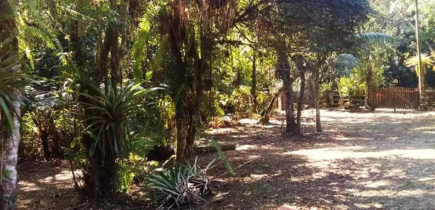 Fazenda / Sítio / Chácara com 1 Quarto à venda, 12900m² no , Antonina
