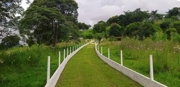 Fazenda / Sítio / Chácara com 3 Quartos à venda, 32176m² no Área Rural de Campo Largo, Campo Largo