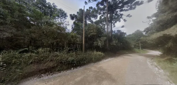Terreno / Lote / Condomínio à venda, 280000m² no Centro, Campina Grande do Sul