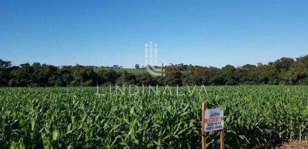 Fazenda / Sítio / Chácara à venda, 10649m² no São Roque, Foz do Iguaçu