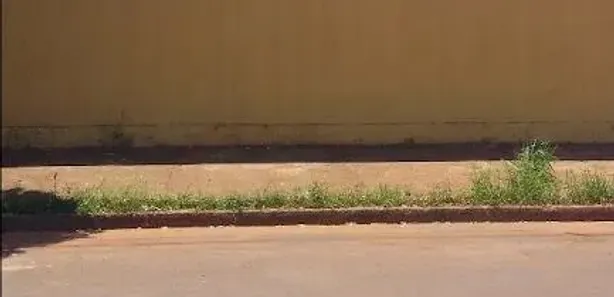 Fazenda / Sítio / Chácara com 4 Quartos para venda ou aluguel, 200m² no Chácaras Arco-Íris, Araçatuba