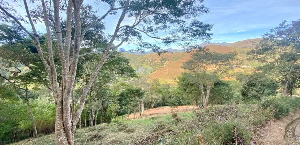 Terreno / Lote / Condomínio à venda, 3200m² no Bonsucesso, Petrópolis