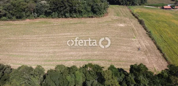 Fazenda / Sítio / Chácara à venda, 23600m² no Passaúna, Araucária