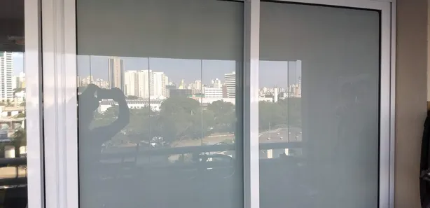 Apartamento com 2 Quartos à venda, 69m² no Parque Industrial Tomas Edson, São Paulo