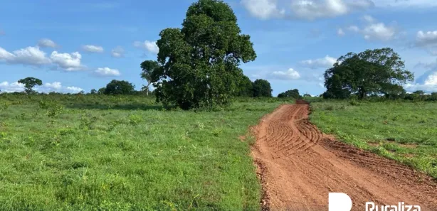 Fazenda / Sítio / Chácara à venda, 842m² no , Rio Sono