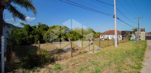 Terreno / Lote / Condomínio para alugar, 1502m² no Camobi, Santa Maria