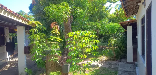 Casa de Vila com 5 Quartos à venda, 200m² no , Vera Cruz