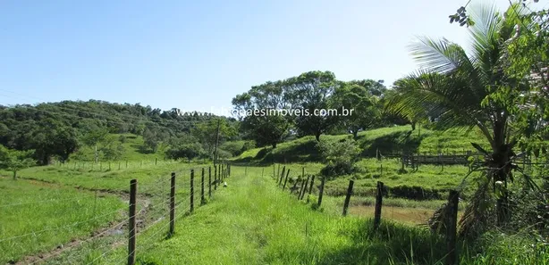 Fazenda / Sítio / Chácara com 4 Quartos à venda, 242000m² no Maraporã, Cachoeiras de Macacu