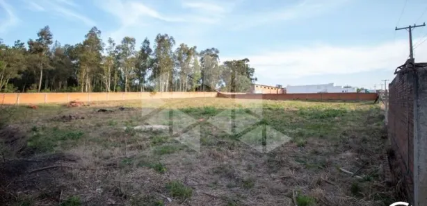 Terreno / Lote / Condomínio para alugar, 3002m² no Pé de Plátano, Santa Maria