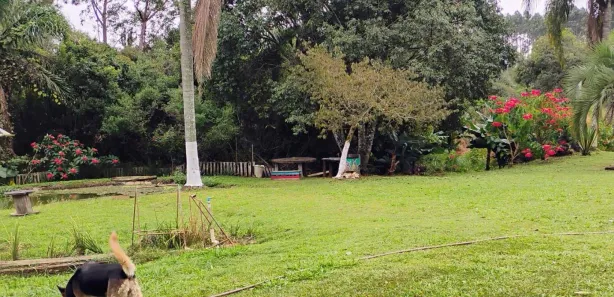 Fazenda / Sítio / Chácara à venda, 13000m² no Guaragi, Ponta Grossa