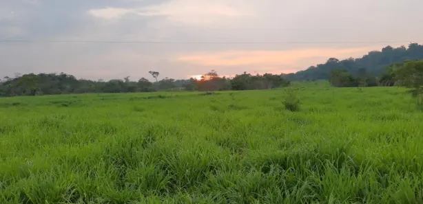 Fazenda / Sítio / Chácara à venda, 16100000m² no , Tacuru