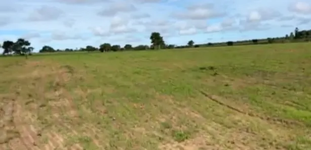 Fazenda / Sítio / Chácara à venda no , Guaraí