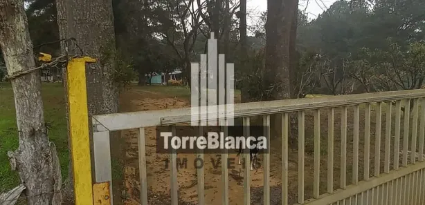 Fazenda / Sítio / Chácara com 3 Quartos à venda, 70m² no Guaragi, Ponta Grossa