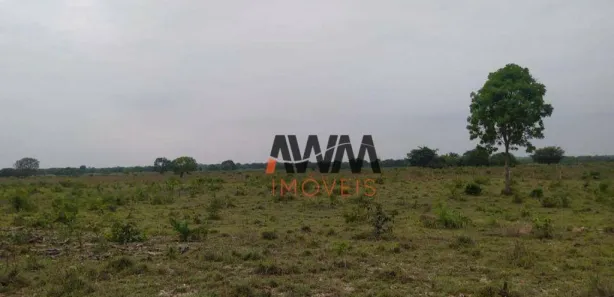 Fazenda / Sítio / Chácara à venda, 6872800m² no Centro, Cristalândia