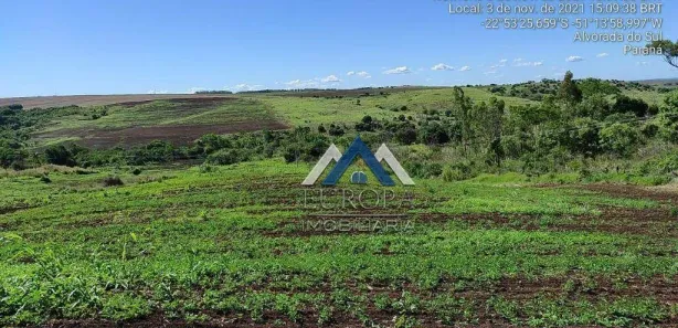 Fazenda / Sítio / Chácara com 2 Quartos à venda, 151m² no Rural, Alvorada do Sul