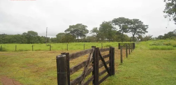 Fazenda / Sítio / Chácara com 2 Quartos à venda, 160m² no Centro, Pium