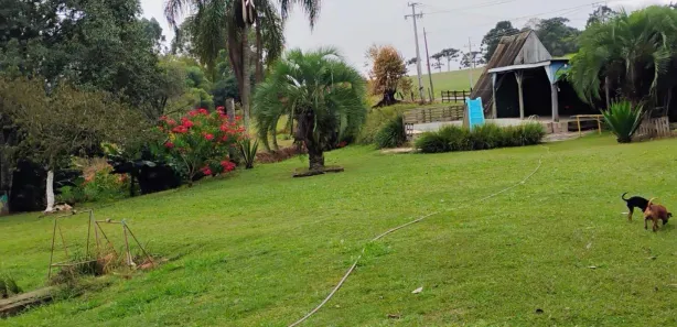 Fazenda / Sítio / Chácara à venda, 13000m² no Guaragi, Ponta Grossa