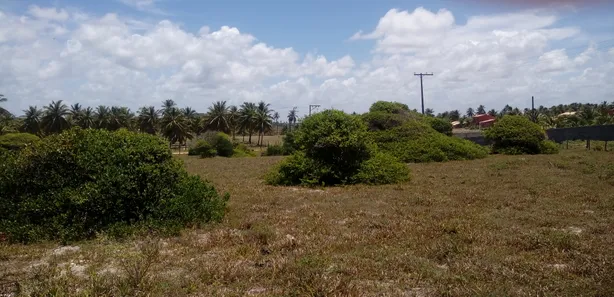 Terreno / Lote / Condomínio à venda, 6000m² no , Conde
