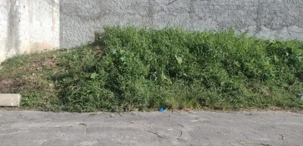 Terreno / Lote / Condomínio à venda, 125m² no Jardim Espinha, Ferraz de Vasconcelos