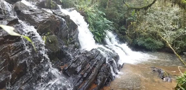 Fazenda / Sítio / Chácara com 4 Quartos à venda, 169000m² no Três Córregos, Campo Largo
