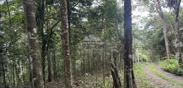 Terreno / Lote / Condomínio à venda, 7595m² no Centro, Pacoti
