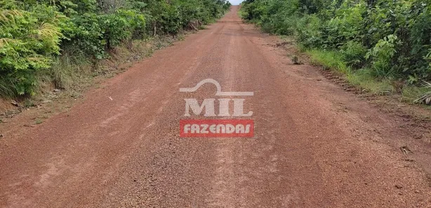 Fazenda / Sítio / Chácara à venda, 2444m² no , Santa Maria do Tocantins