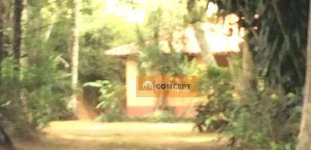 Fazenda / Sítio / Chácara com 8 Quartos para alugar, 450m² no Ipelândia, Suzano