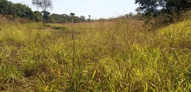 Fazenda / Sítio / Chácara com 5 Quartos à venda, 1600000m² no Área Rural de Novo Gama, Novo Gama