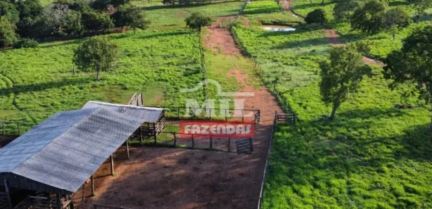 Fazenda / Sítio / Chácara à venda, 522000m² no , Presidente Kennedy