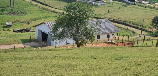 Fazenda / Sítio / Chácara com 3 Quartos à venda, 121000m² no Centro, Araucária
