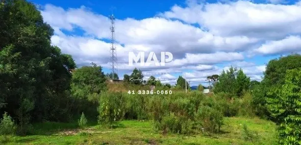 Terreno / Lote Comercial para alugar, 4380m² no Borda do Campo, Quatro Barras