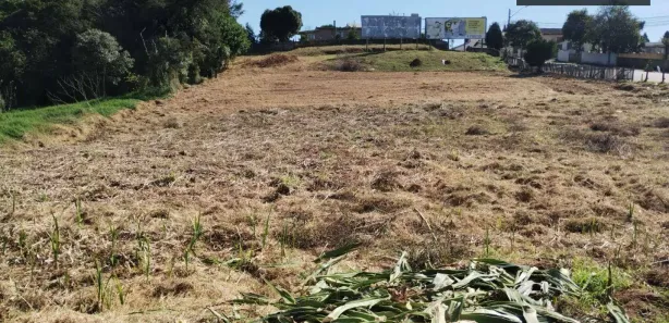 Terreno / Lote / Condomínio à venda, 11000m² no Cambuí, Campo Largo