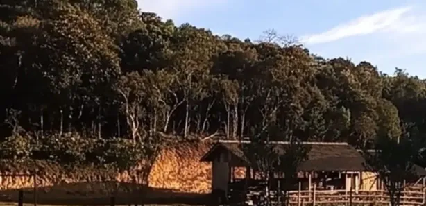 Fazenda / Sítio / Chácara à venda, 30000m² no , Águas Mornas