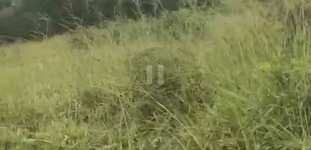 Fazenda / Sítio / Chácara à venda, 155000000m² no Centro, Formosa