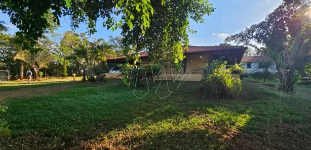Fazenda / Sítio / Chácara à venda, 2000m² no Machados, Araraquara