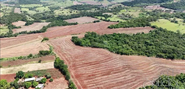 Fazenda / Sítio / Chácara à venda, 500698m² no Pinheiro, Ibiporã