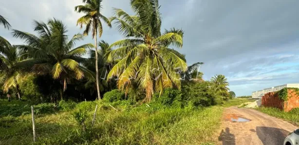 Terreno / Lote / Condomínio à venda, 42000m² no Centro, Barra dos Coqueiros