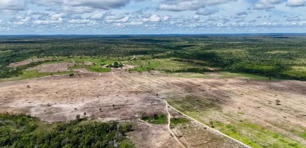 Fazenda / Sítio / Chácara à venda, 1m² no , Rio Sono