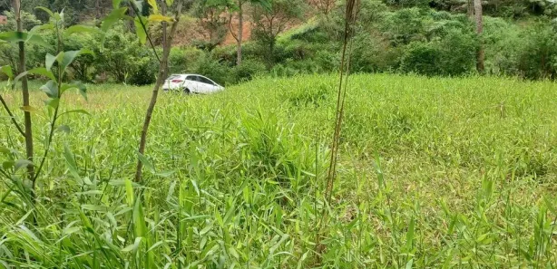 Fazenda / Sítio / Chácara à venda, 3662m² no Vargem Grande, Águas Mornas
