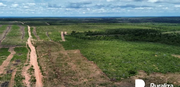 Fazenda / Sítio / Chácara à venda, 1413m² no , Rio Sono